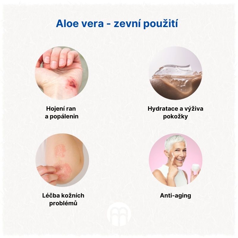 Aloe vera - zevní použití